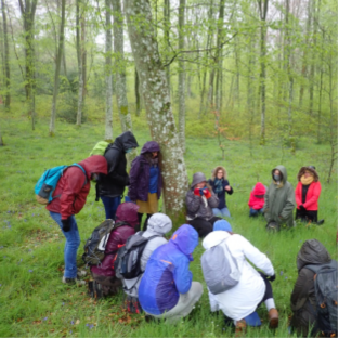 Approche sensible en éducation à la nature