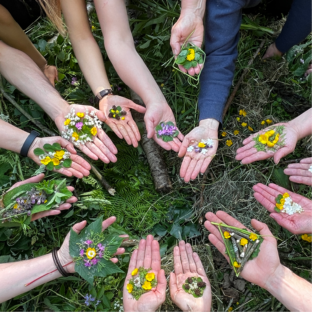 Les supers pouvoirs des plantes