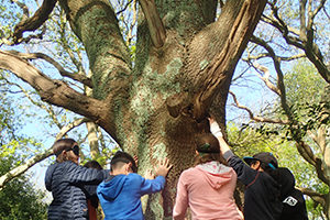 GraineNormandie_EduqueralaNature