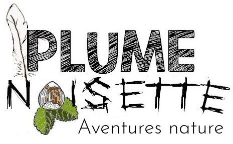 Logo - Plume Noisette