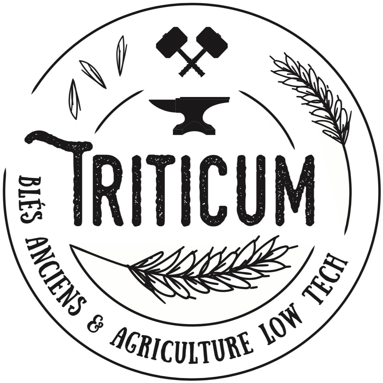 Logo - Triticum
