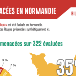 le graine normandie - Listes Rouges Normandie