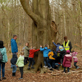 Approche sensible en éducation à la nature
