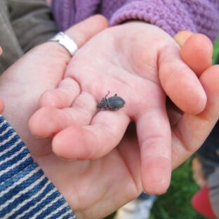 Tous-Petits Dans La Nature