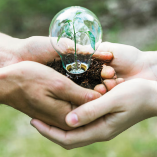 Comment mettre en place une démarche de développement durable dans ma structure ?