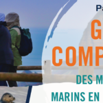 le graine normandie - Seconde édition du Grand Comptage des Mammifères Marins